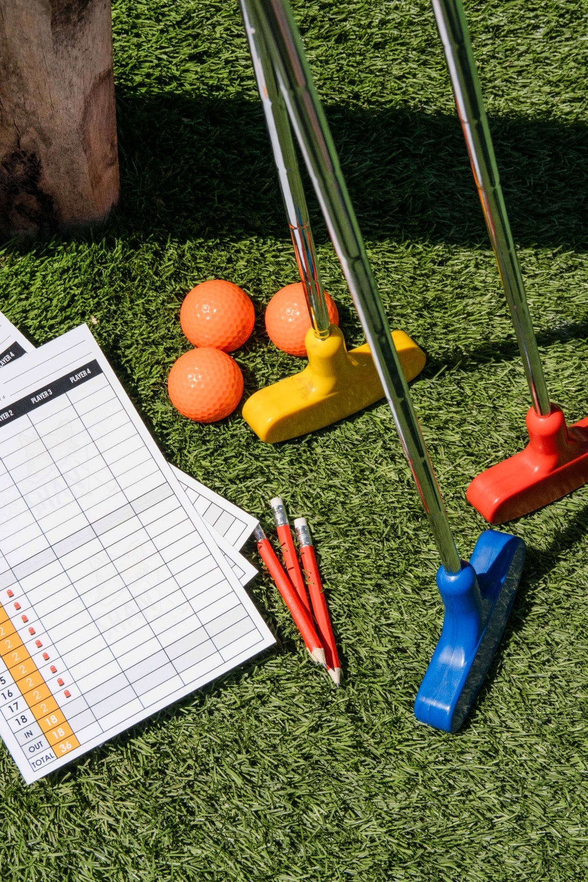 Mini Golf Putter